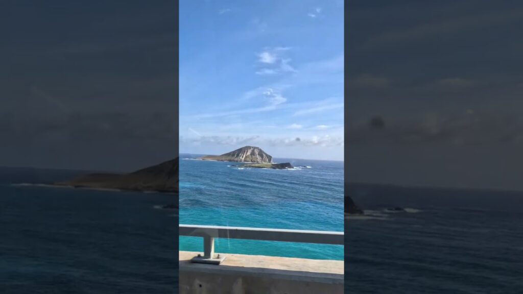 BEST Island Tour on Oahu | Real Hawaii Tours