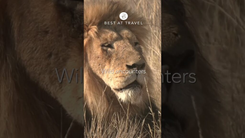 Best At Travel: Tailor-Made Tours #TailorMadeTours #bestattravel #travel #tours #explore