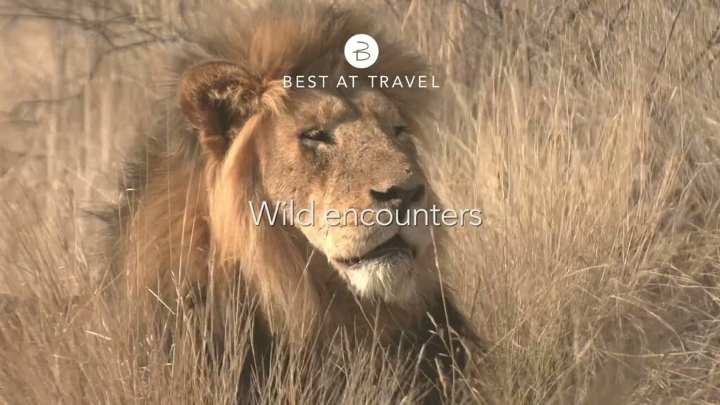 Best At Travel: Tailor-Made Tours