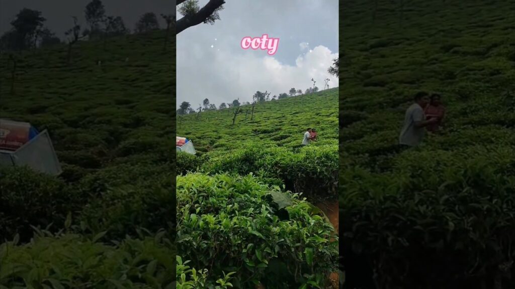 Ooty travel blog tourist spot in Ooty Ooty travel Coimbatore travel