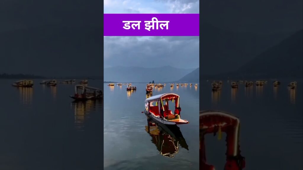 best five places to visit in Srinagar #bestfive #best #bestroadtrip #bestvideo #heavenonearth #viral