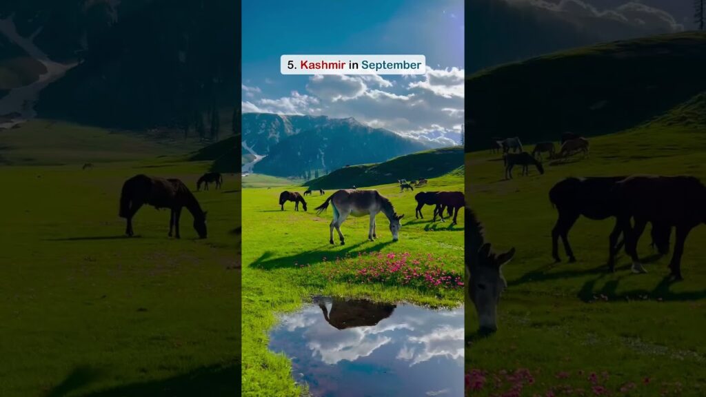 8 Best Places to Visit in India (May to December) 🧳 | Monthly Travel Guide 2025