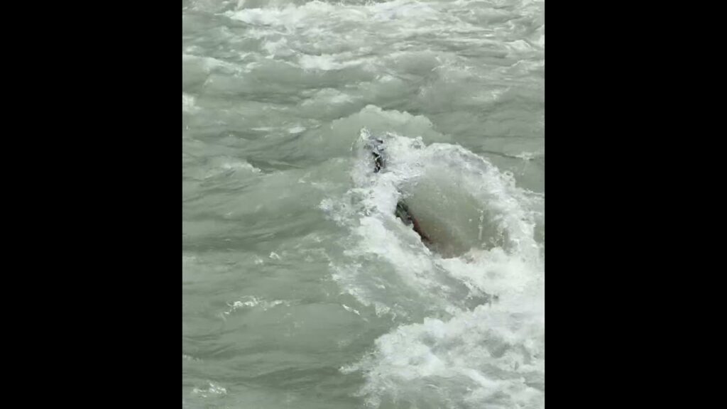 Final view of Alakananda river near badrinath dham  #travel #travelblog #nature #templehistory